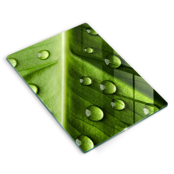 Sklo za sporák Příroda rosa a list