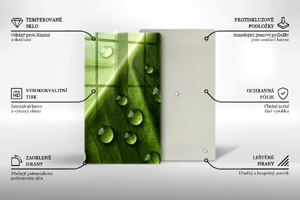 Sklo za sporák Příroda rosa a list