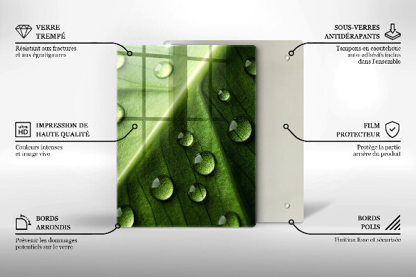 Sklo za sporák Příroda rosa a list