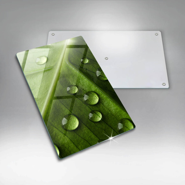 Sklo za sporák Příroda rosa a list