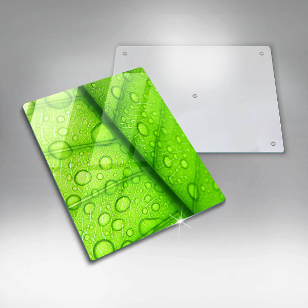 Kryt na varnou desku Detailní záběr na list