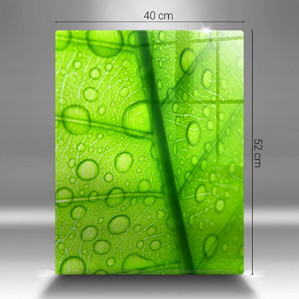 Kryt na varnou desku Detailní záběr na list