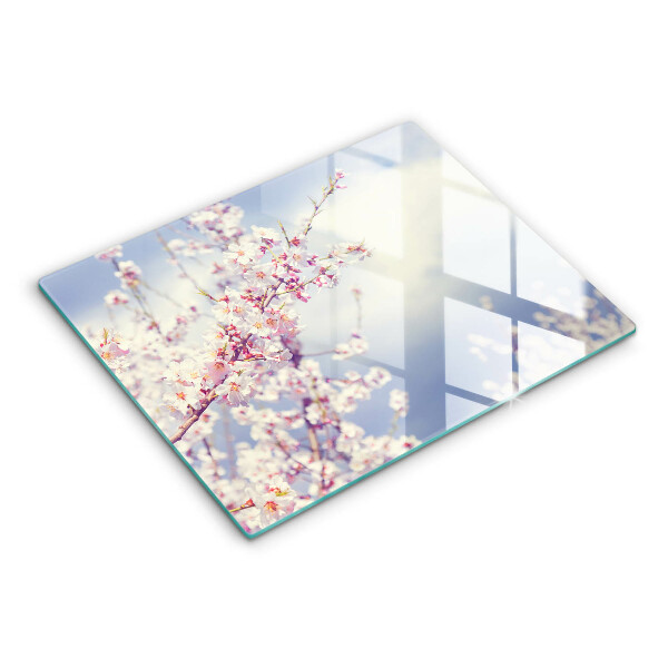 Sklo za sporák Kvetoucí strom