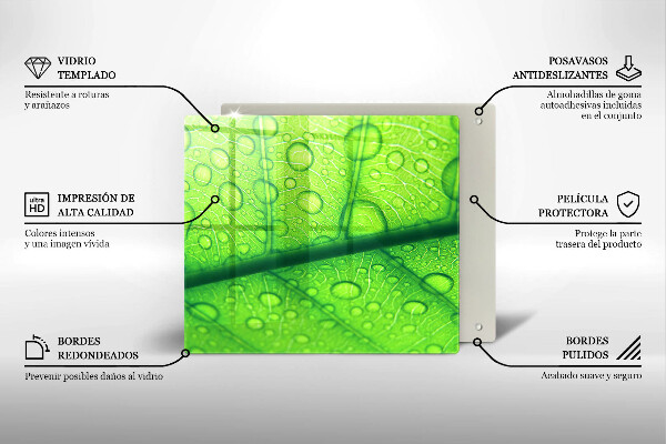 Sklo za varnou desku Detailní záběr na list