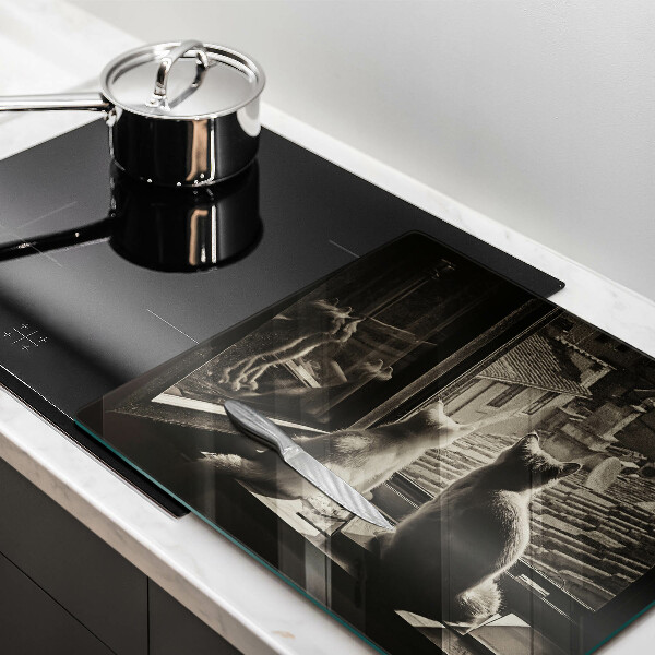 Sklo za varnou desku Kočičí město a okno