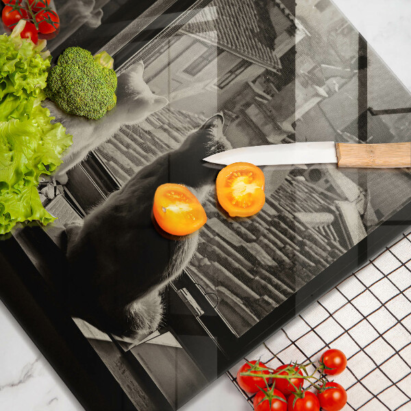 Sklo za varnou desku Kočičí město a okno