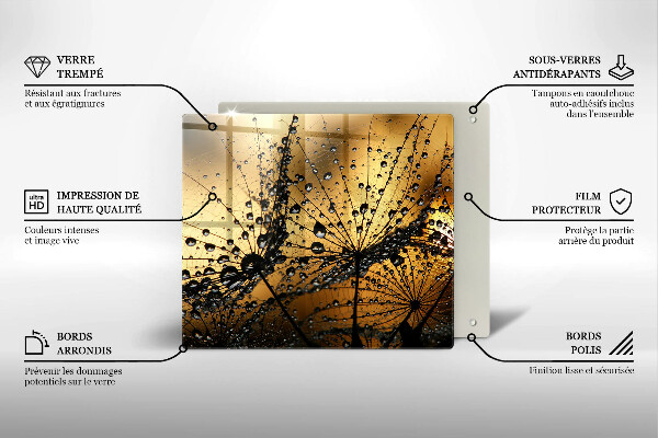 Sklo za varnou desku Rosa a pampelišky