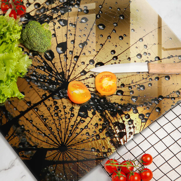 Sklo za varnou desku Rosa a pampelišky