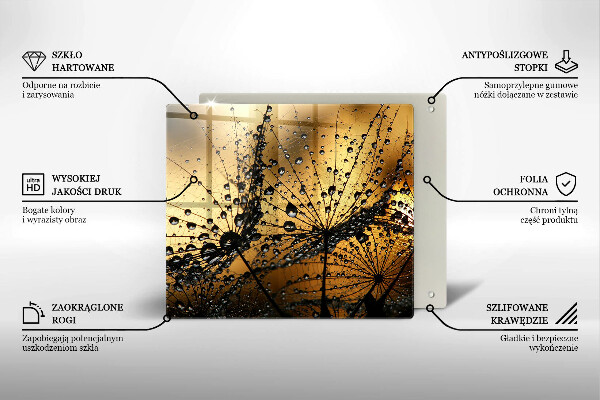 Sklo za varnou desku Rosa a pampelišky