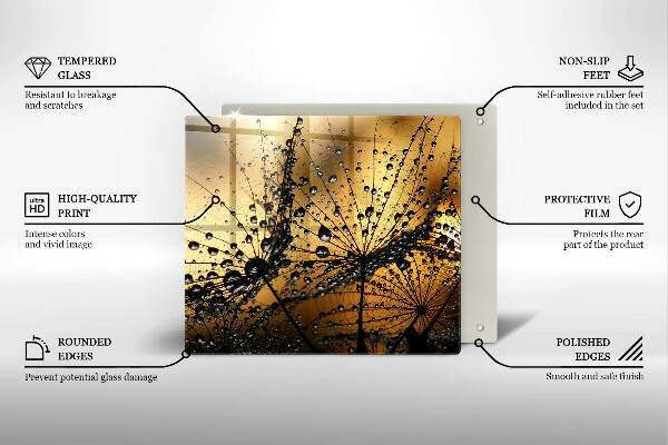 Sklo za varnou desku Rosa a pampelišky