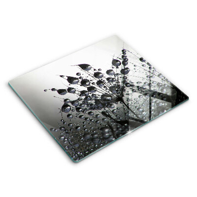 Sklo za varnou desku Pampelišky a rosa