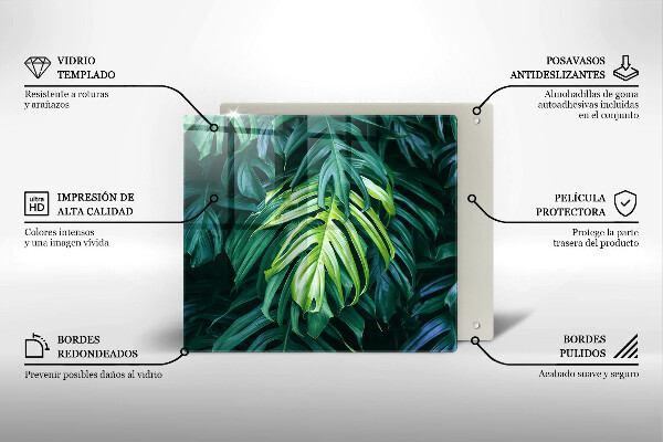 Sklo za varnou desku Divoké monstera listy