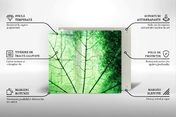 Sklo za varnou desku Dekorativní žilnatý list