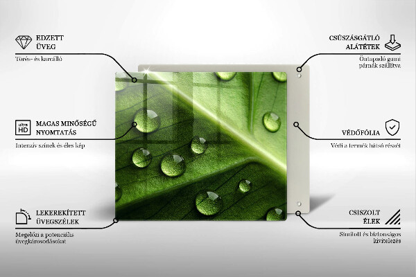 Sklo za varnou desku Příroda rosa a list