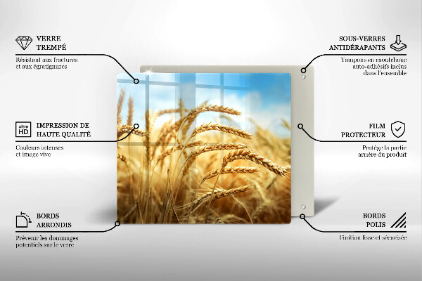 Sklo za varnou desku Klasy obilovin na poli