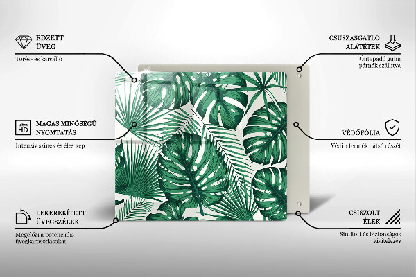 Sklo za varnou desku Monstera odchází