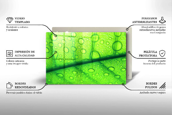 Skleněná deska za sporák Detailní záběr na list
