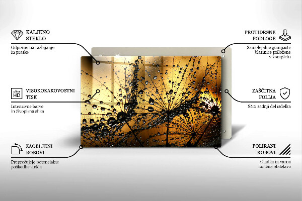 Skleněná deska za sporák Rosa a pampelišky