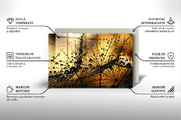 Skleněná deska za sporák Rosa a pampelišky