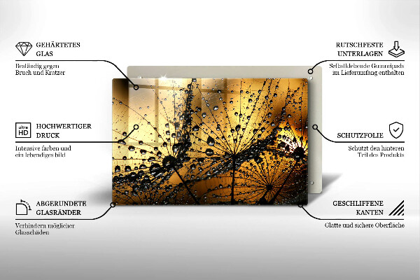 Skleněná deska za sporák Rosa a pampelišky