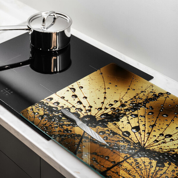 Skleněná deska za sporák Rosa a pampelišky