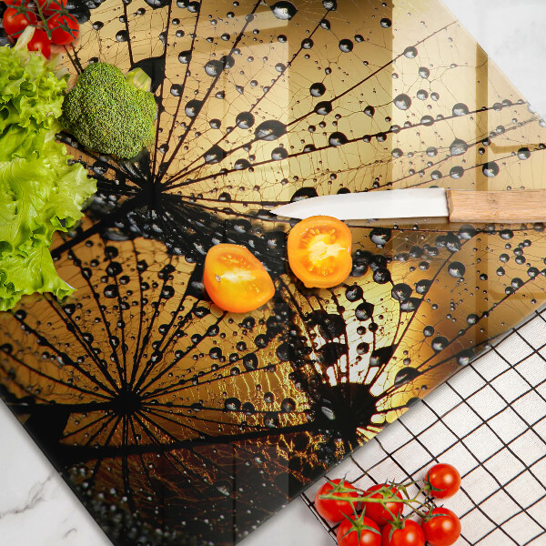 Skleněná deska za sporák Rosa a pampelišky