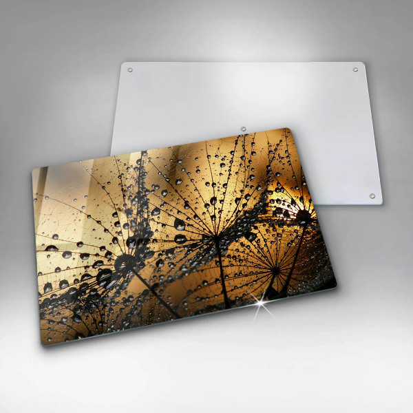 Skleněná deska za sporák Rosa a pampelišky