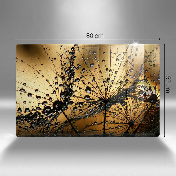 Skleněná deska za sporák Rosa a pampelišky