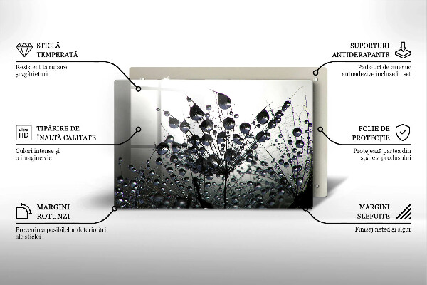 Skleněná deska za sporák Pampelišky a rosa