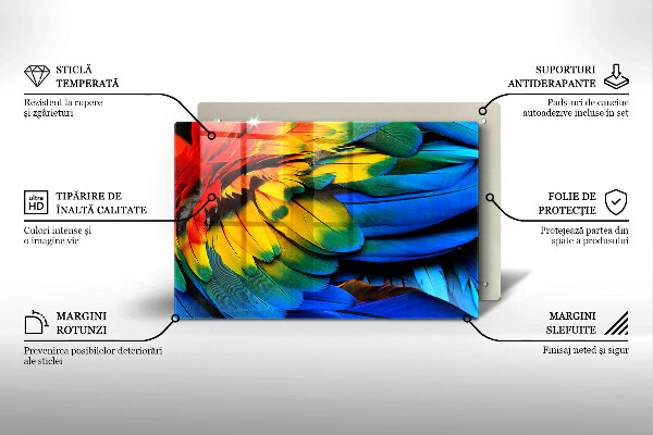 Skleněná deska za sporák Barevné papouščí peří