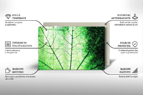 Skleněná deska za sporák Dekorativní žilnatý list