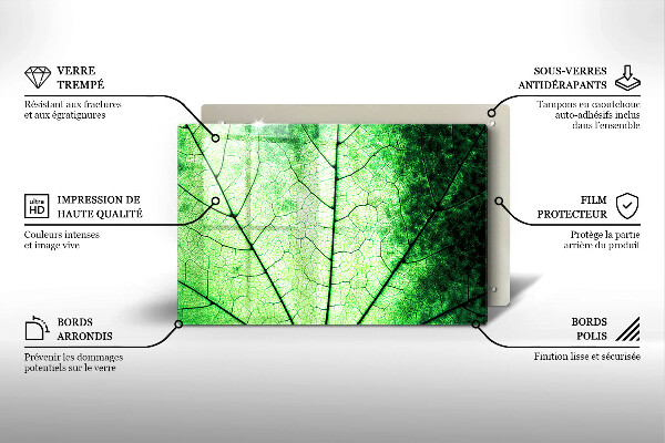 Skleněná deska za sporák Dekorativní žilnatý list