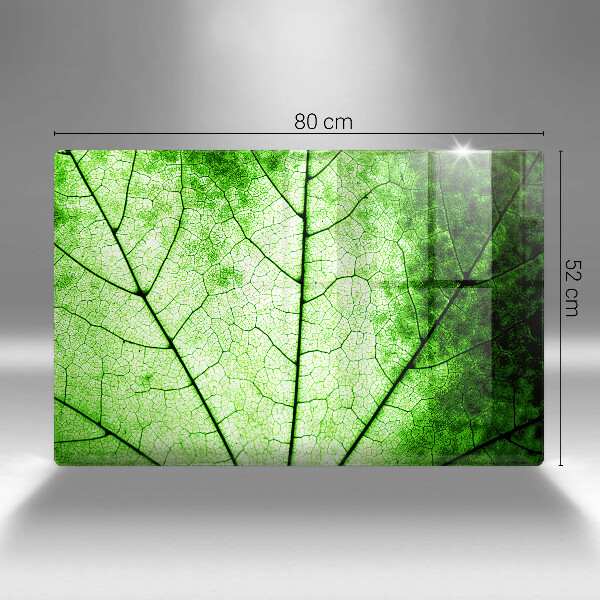 Skleněná deska za sporák Dekorativní žilnatý list