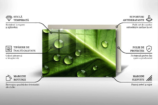 Skleněná deska za sporák Příroda rosa a list