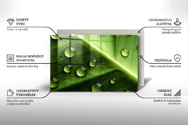 Skleněná deska za sporák Příroda rosa a list