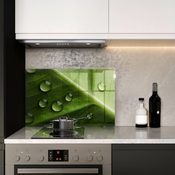 Skleněná deska za sporák Příroda rosa a list