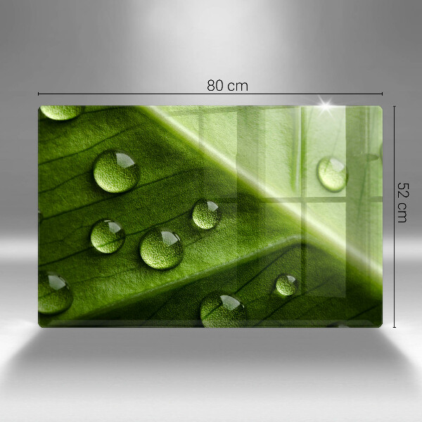 Skleněná deska za sporák Příroda rosa a list