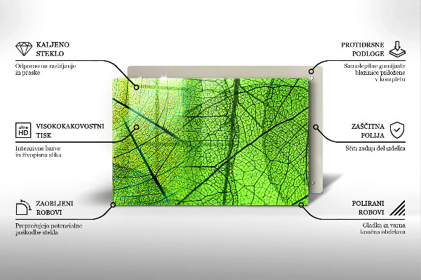 Skleněná deska za sporák Přírodní listové žíly