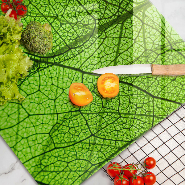 Skleněná deska za sporák Přírodní listové žíly