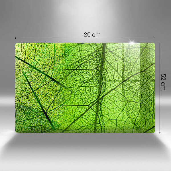 Skleněná deska za sporák Přírodní listové žíly