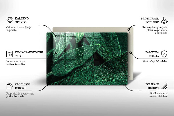 Skleněná deska za sporák Listy rostliny
