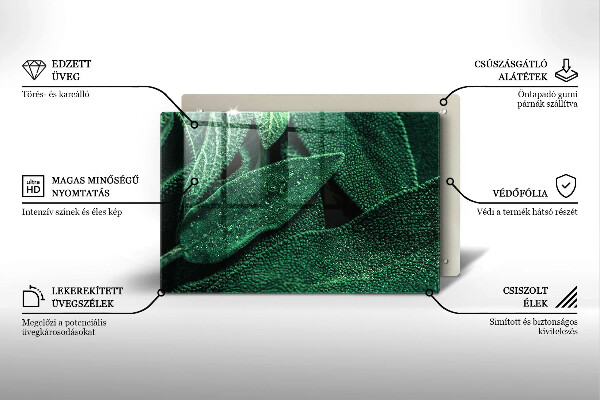 Skleněná deska za sporák Listy rostliny