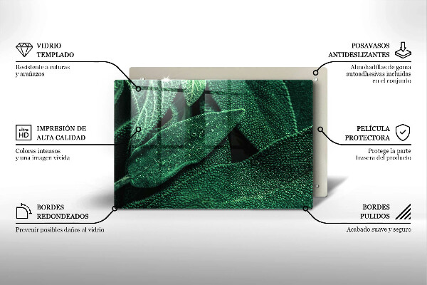 Skleněná deska za sporák Listy rostliny