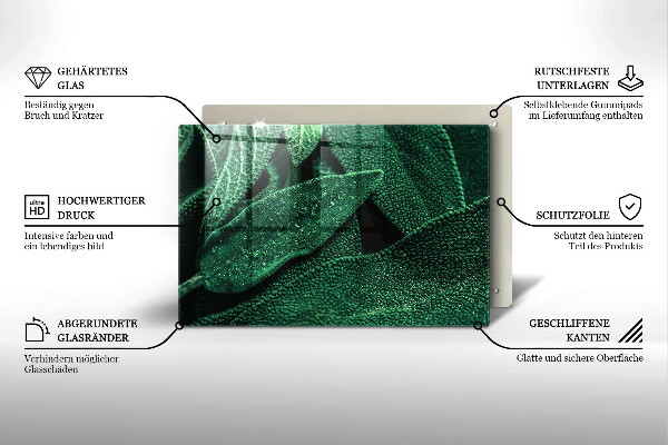 Skleněná deska za sporák Listy rostliny