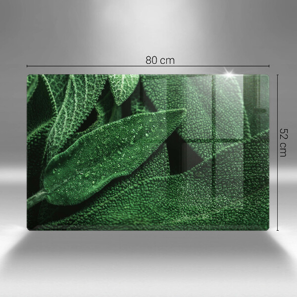 Skleněná deska za sporák Listy rostliny