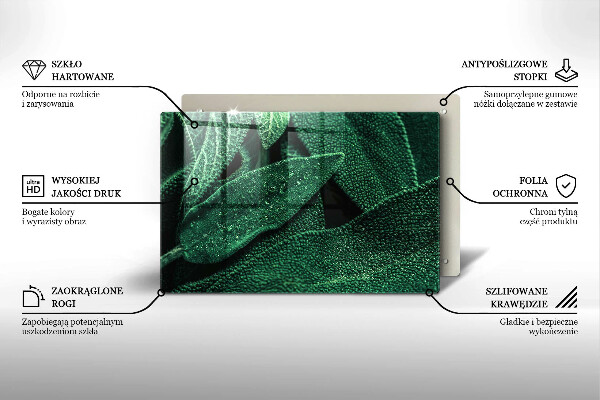 Skleněná deska za sporák Listy rostliny