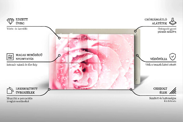 Skleněná deska za sporák Kapky rosy a květ růže