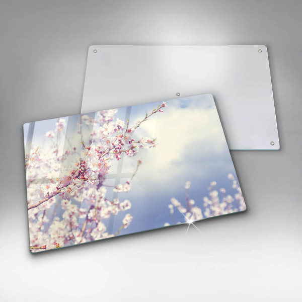 Skleněná deska za sporák Kvetoucí strom