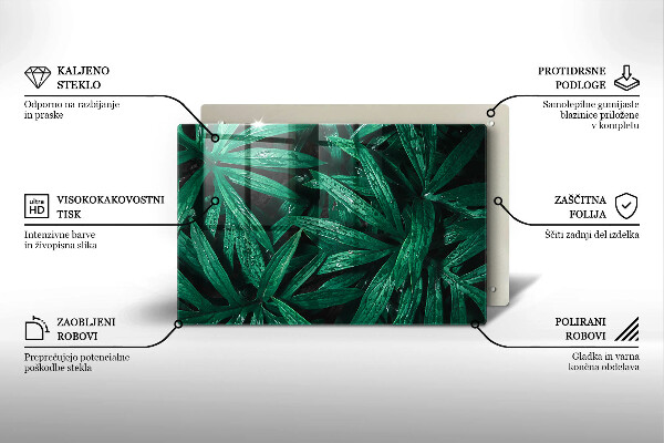 Skleněná deska za sporák Listy rostlin