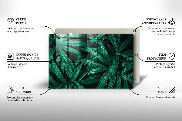 Skleněná deska za sporák Listy rostlin